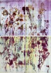 Untitled, from Pressed Flowers by Pati Hill