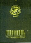 Rose & Comb by Pati Hill